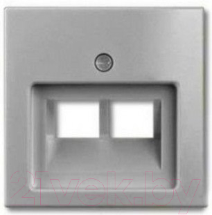 Лицевая панель для розетки ABB Basic 55 1753-0-0095-1 - фото