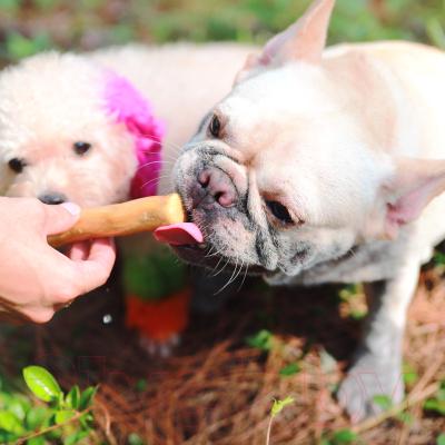 Игрушка для собак Coffee Wood Бочонок на веревке / TUG/CW-M