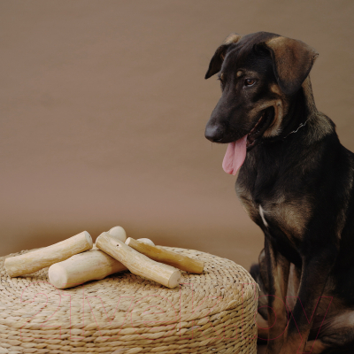 Игрушка для собак Coffee Wood Палочка кофейного дерева / STICK/CW-XS