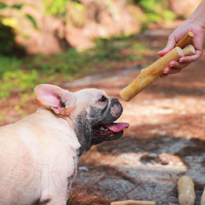 Игрушка для собак Coffee Wood Палочка кофейного дерева / STICK/CW-M