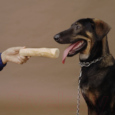 Игрушка для собак Coffee Wood Палочка кофейного дерева / STICK/CW-L