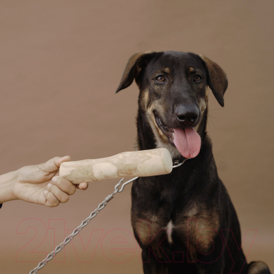 Игрушка для собак Coffee Wood Палочка кофейного дерева / STICK/CW-XL