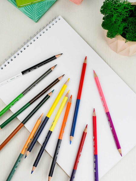 Набор цветных карандашей Феникс+ Кенгуру / 58581