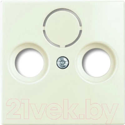 Лицевая панель для розетки ABB Basic 55 1724-0-4316 - фото