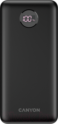 Портативное зарядное устройство Canyon PB-200 / CNE-CPB2002B - фото