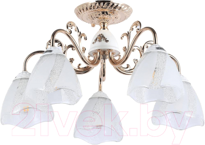 Люстра Myfare Nicole MR1661-5C - фото