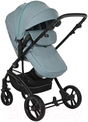 Детская универсальная коляска Pituso Mikki G16