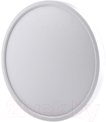 Потолочный светильник Ultra NR 30W CCT White - фото