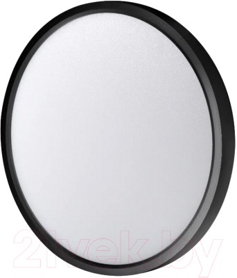 Потолочный светильник Ultra NR 30W CCT Black - фото