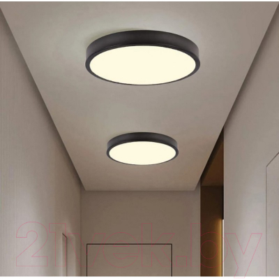 Потолочный светильник Ultra NR 30W CCT Black