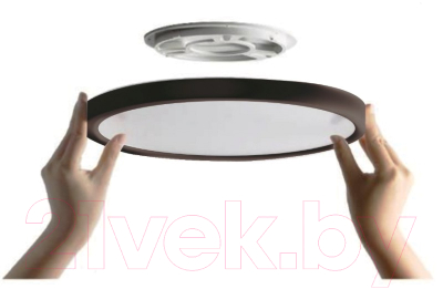 Потолочный светильник Ultra NR 40W CCT Black