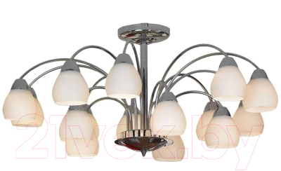 Люстра Lussole Apiro LSF-2403-15 - фото