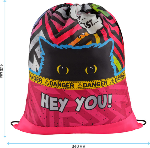 Мешок для обуви ArtSpace Spy Cat / СДС_50166