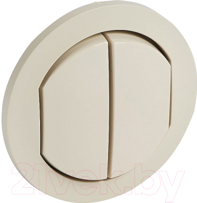Лицевая панель для выключателя Legrand Celiane 67822 - фото