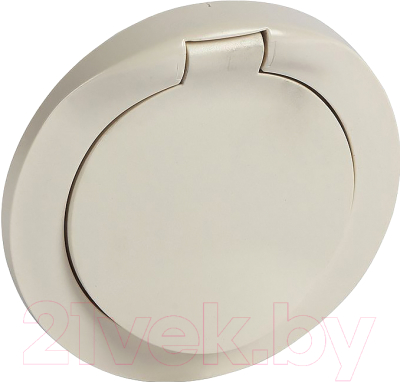 Лицевая панель для розетки Legrand Celiane 67827 - фото