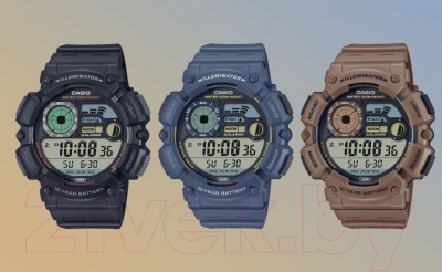 Часы наручные мужские Casio WS-1500H-5A