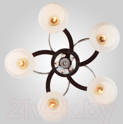 Люстра Евросвет Larion 9654/5