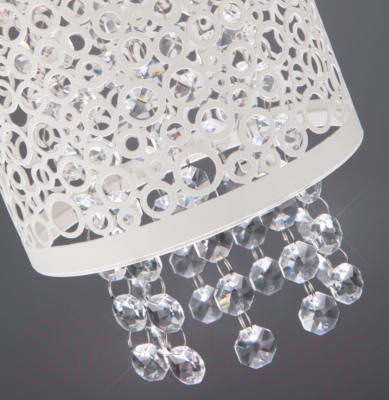 Потолочный светильник Евросвет Laguna 1181/1