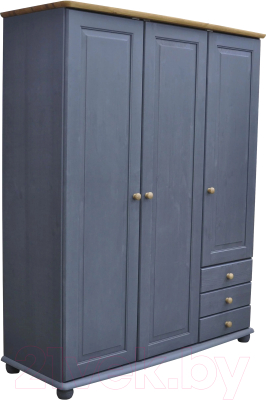 Шкаф Dipriz 6002 Д.70003.3 - фото