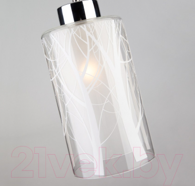 Потолочный светильник Евросвет Santos 50001/1