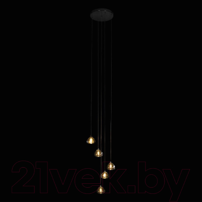 Люстра Loftit Rain 10151/5