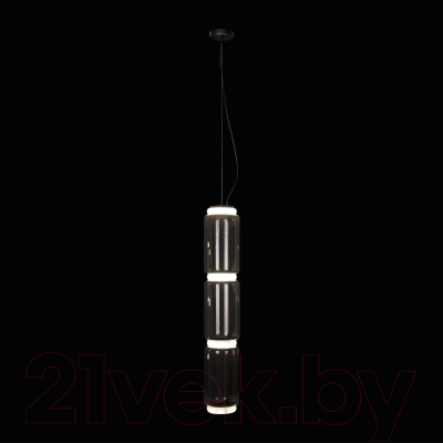 Люстра Loftit Noctambule 10194/L