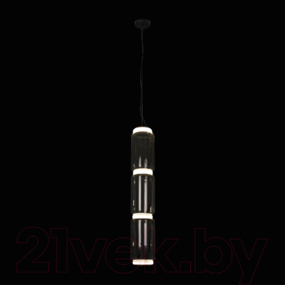 Люстра Loftit Noctambule 10194/L