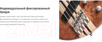 Бас-гитара Cort A5-Beyond-WCASE-OPBN