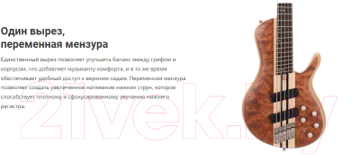 Бас-гитара Cort A5-Beyond-WCASE-OPBN