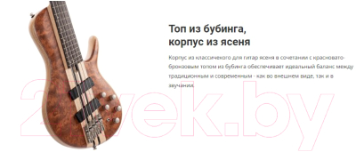 Бас-гитара Cort A5-Beyond-WCASE-OPBN