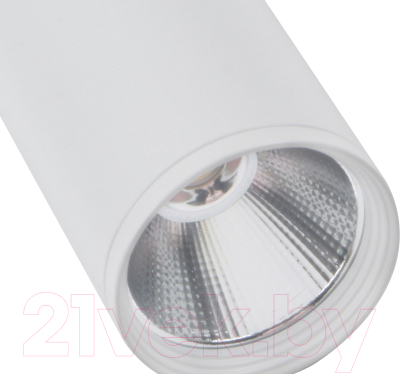 Точечный светильник Kinklight Фабио 08570-10.01