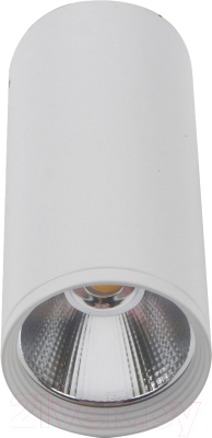 Точечный светильник Kinklight Фабио 08570-12.01 - фото