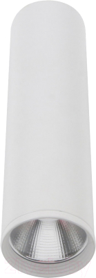 Точечный светильник Kinklight Фабио 08570-20.01 - фото