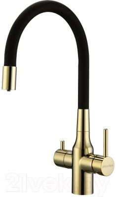 Смеситель Paulmark Salix Sa213419-G - фото