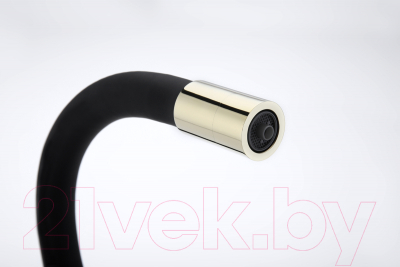 Смеситель Paulmark Salix Sa213419-G