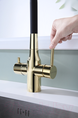 Смеситель Paulmark Salix Sa213419-G