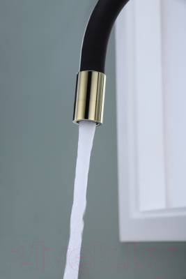 Смеситель Paulmark Salix Sa213419-G