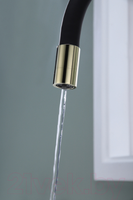 Смеситель Paulmark Salix Sa213419-G