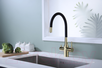 Смеситель Paulmark Salix Sa213419-G