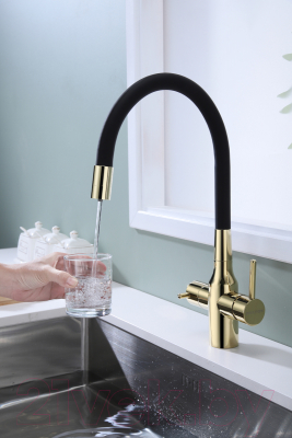 Смеситель Paulmark Salix Sa213419-G