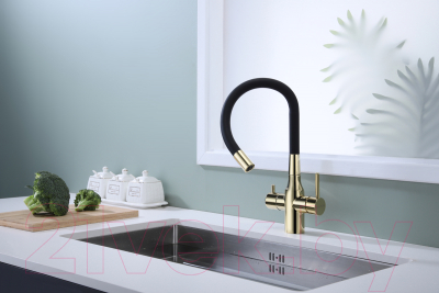 Смеситель Paulmark Salix Sa213419-G