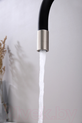 Смеситель Paulmark Salix Sa213419-NI (никель)