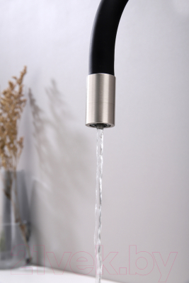 Смеситель Paulmark Salix Sa213419-NI (никель)