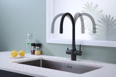 Смеситель Paulmark Salix Sa213419-401 (антрацит)