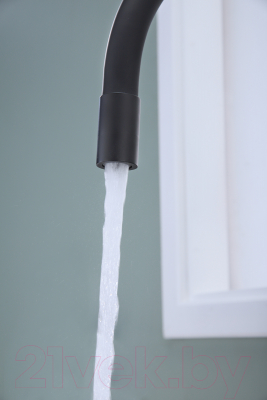 Смеситель Paulmark Salix Sa213419-401 (антрацит)