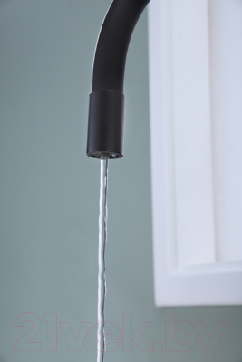 Смеситель Paulmark Salix Sa213419-401 (антрацит)