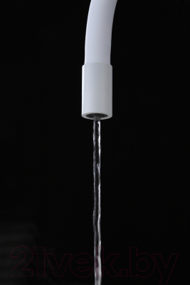 Смеситель Paulmark Salix Sa213419-431 (белый матовый)