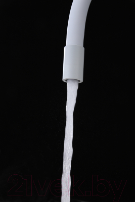 Смеситель Paulmark Salix Sa213419-431 (белый матовый)