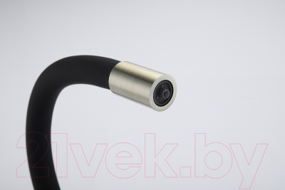 Смеситель Paulmark Salix Sa213419-BR (бронза)