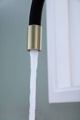 Смеситель Paulmark Salix Sa213419-BR (бронза)